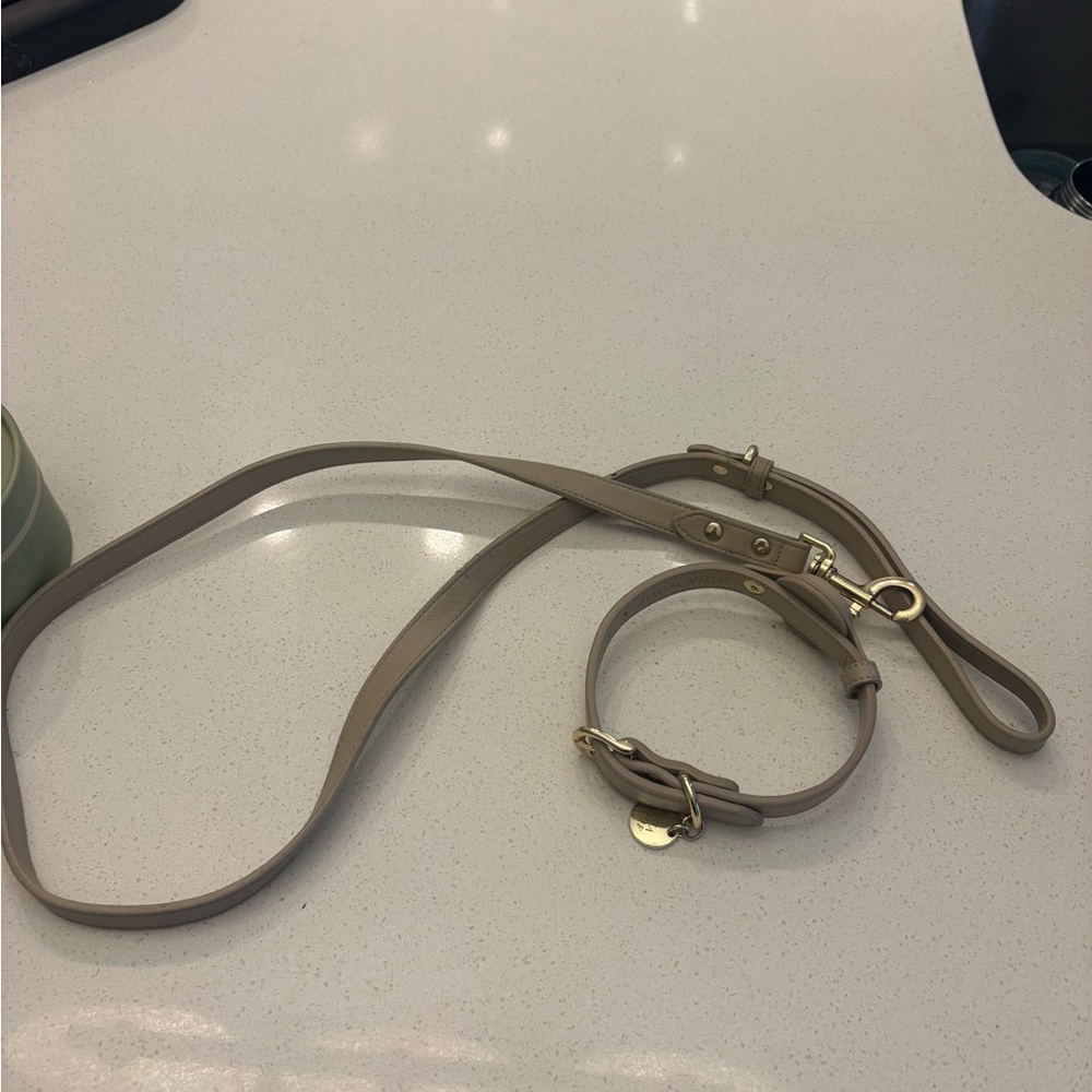 Elegant Tan Dog Collar